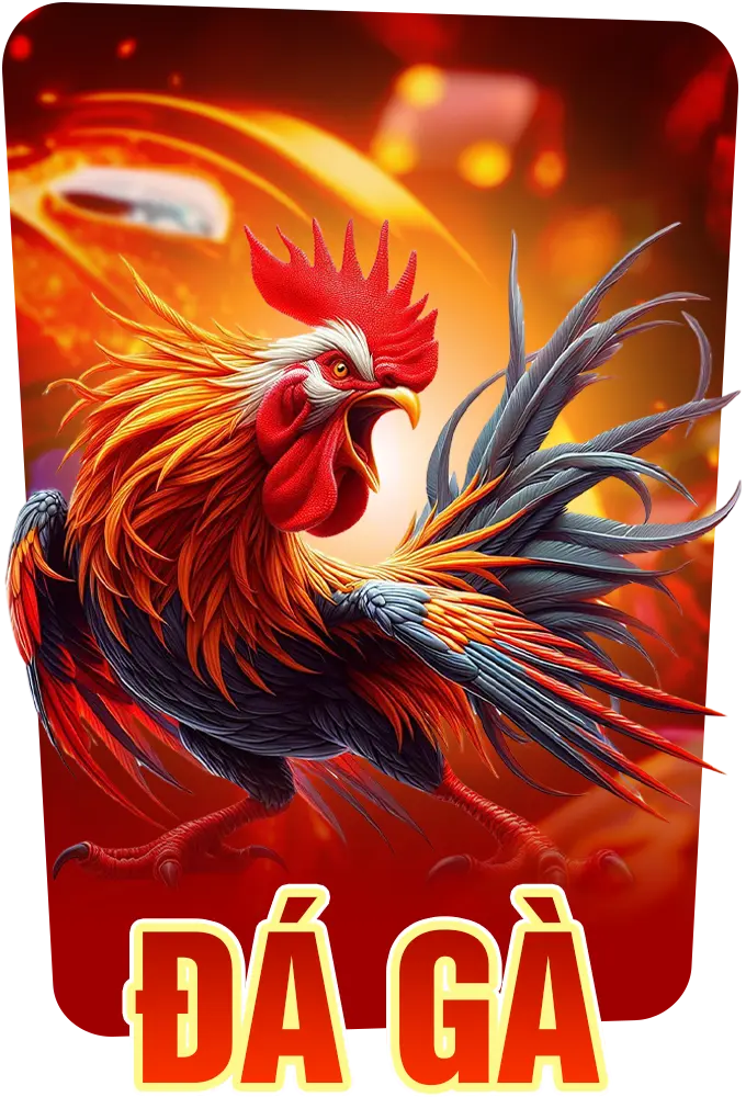 đá gà au88
